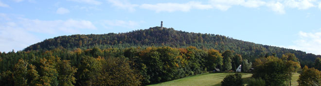 Blick zum Hochwald